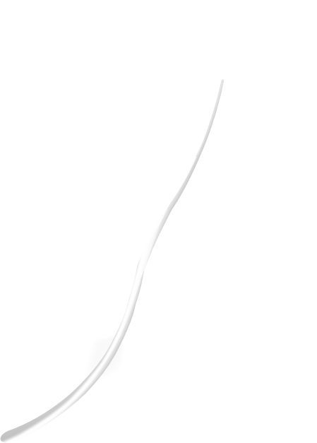 feather-1-bg