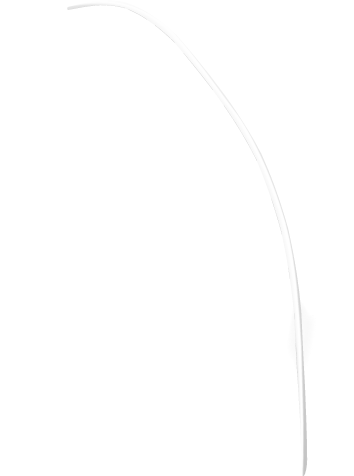 feather-9-bg